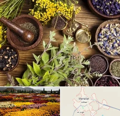 دکتر طب سنتی خانم در محلات