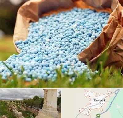 فروش کود در کنگاور