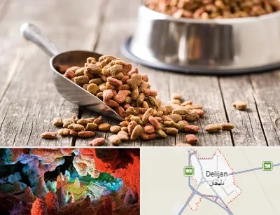 فروشگاه غذای حیوانات خانگی در دلیجان