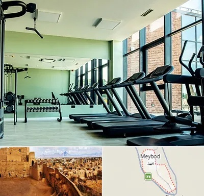 تعمیرکار تردمیل در میبد