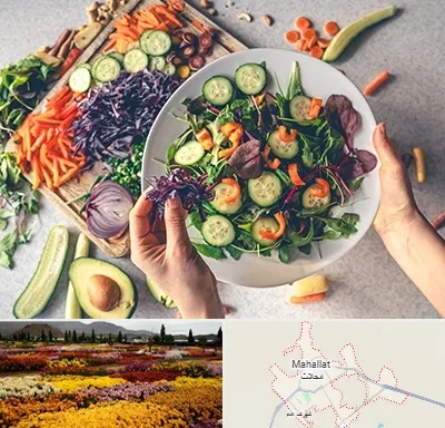 فروشگاه محصولات گیاهی در محلات