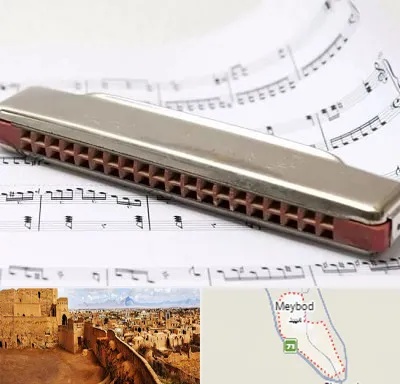 آموزشگاه ساز دهنی در میبد