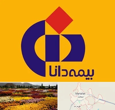 بیمه دانا در محلات