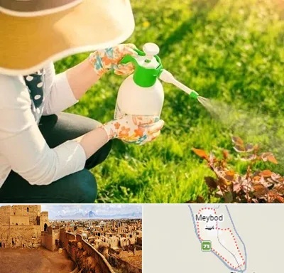 فروش سم حشرات در میبد