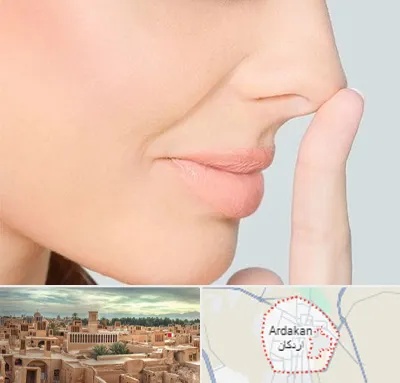 عمل تیپ پلاستی بینی در اردکان