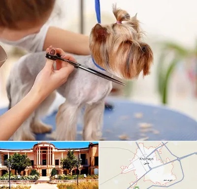 آرایشگاه سگ در خمین
