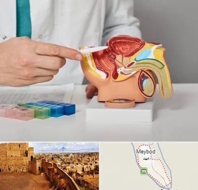 دکتر اورولوژی در میبد