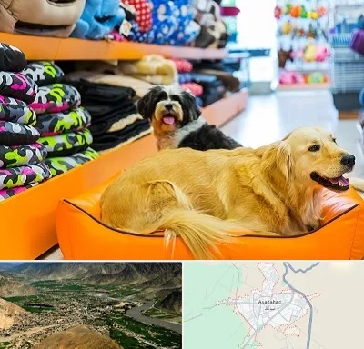 پت شاپ عمده در اسدآباد