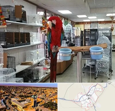 پرنده فروشی در بافق