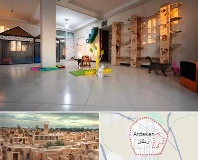 پانسیون گربه در اردکان