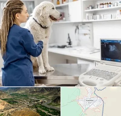 سونوگرافی سگ در اسدآباد