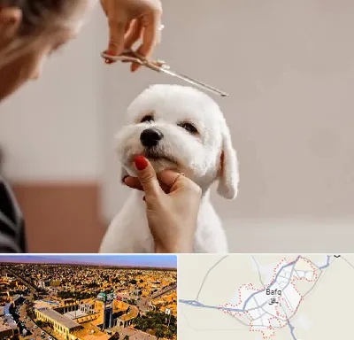 آرایشگاه پت در بافق