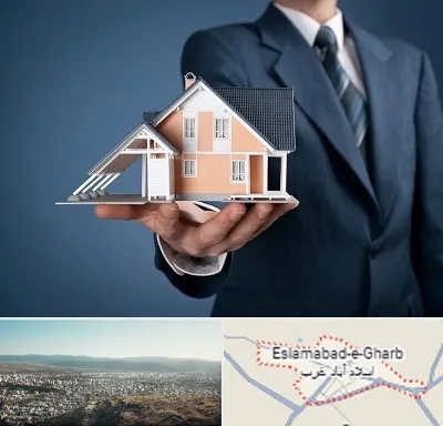 دپارتمان در اسلام آباد غرب