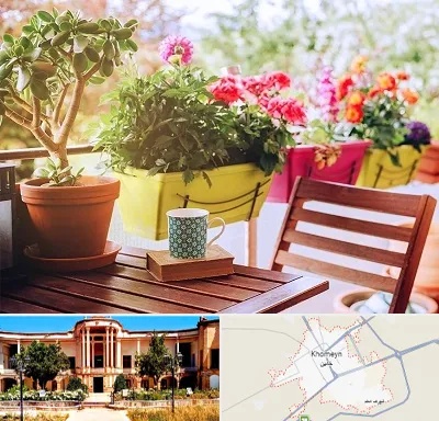 گیاه آپارتمانی در خمین