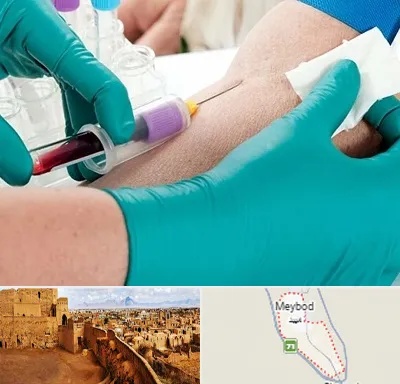 آزمایشگاه در منزل در میبد