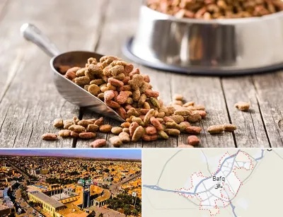 فروشگاه غذای حیوانات خانگی در بافق