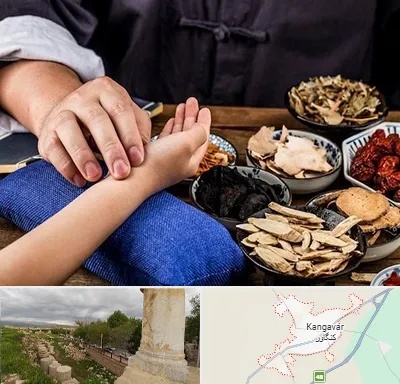 دکتر گیاهی در کنگاور