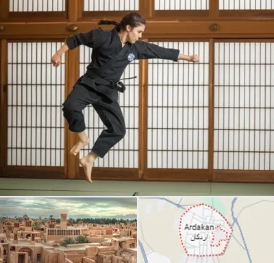 باشگاه نینجا در اردکان