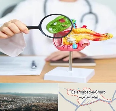 جراح سرطان پانکراس در اسلام آباد غرب