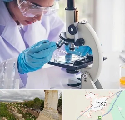 آزمایشگاه در کنگاور