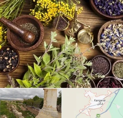 دکتر طب سنتی خانم در کنگاور