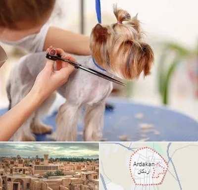 آرایشگاه سگ در اردکان