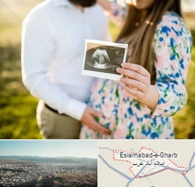 عکاسی بارداری در اسلام آباد غرب