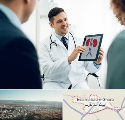 دکتر فوق تخصص سنگ کلیه در اسلام آباد غرب