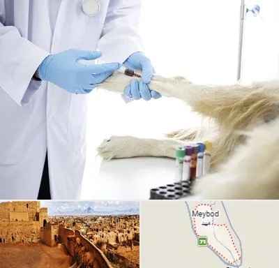 آزمایشگاه حیوانات در میبد