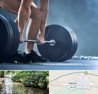 باشگاه بدنسازی در هرسین