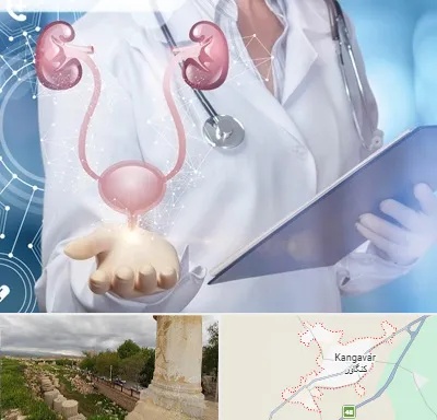 متخصص اورولوژی خانم در کنگاور