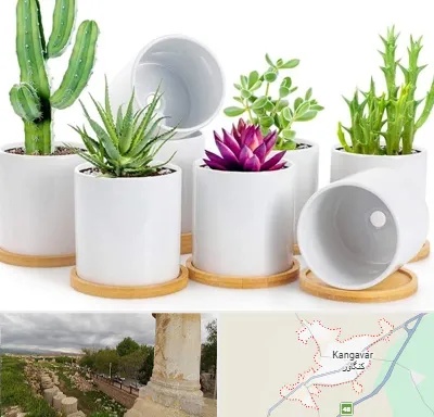 فروش گلدان سرامیکی در کنگاور