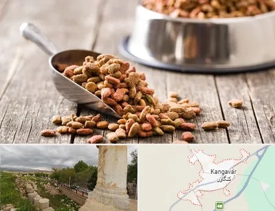 فروشگاه غذای حیوانات خانگی در کنگاور