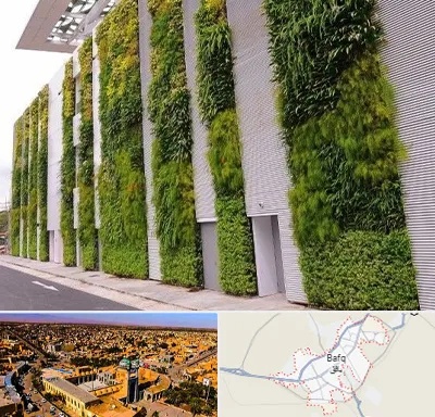 دیوار سبز در بافق