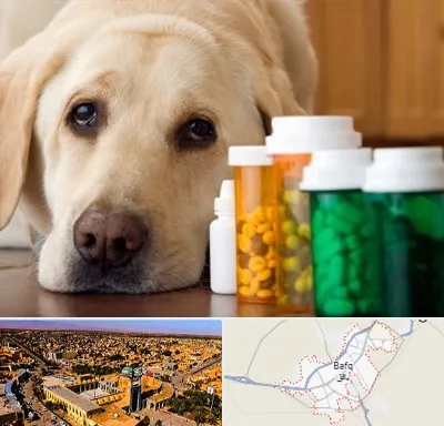 داروخانه دامپزشکی در بافق