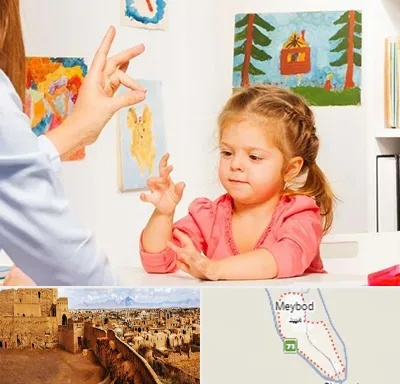 کاردرمانگر در میبد