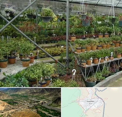 بازار گل و گیاه در اسدآباد