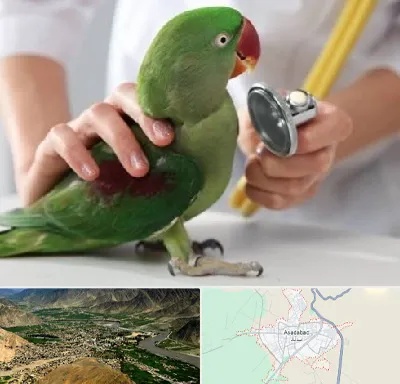 درمانگاه شبانه روزی پرندگان در اسدآباد