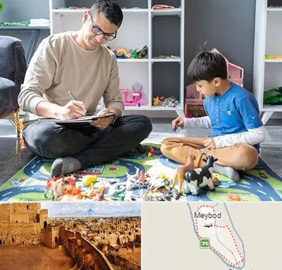 رفتار درمانی کودکان در میبد