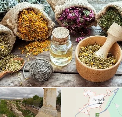 داروخانه طب سنتی در کنگاور