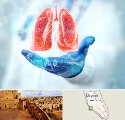بیمارستان ریه در میبد