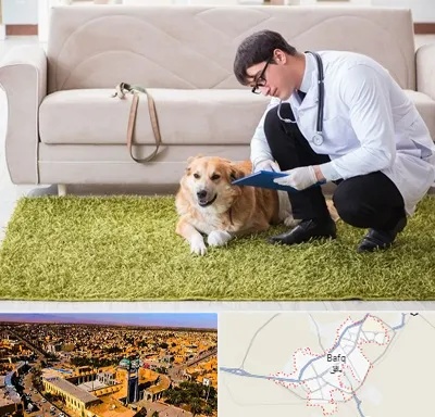 دامپزشکی در منزل در بافق