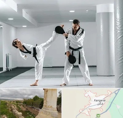 باشگاه رزمی در کنگاور