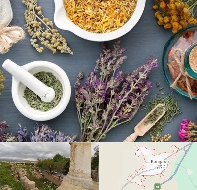 سم زدایی در کنگاور