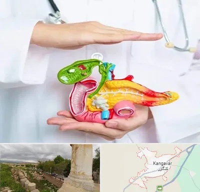 دکتر سرطان لوزالمعده در کنگاور