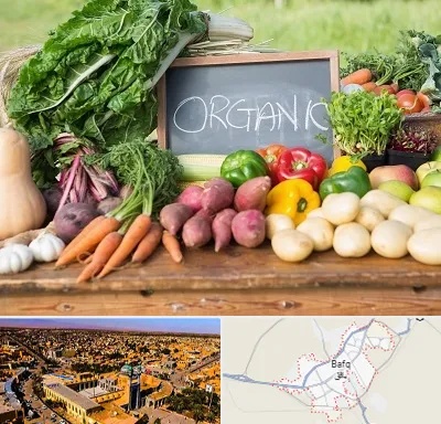 فروشگاه محصولات ارگانیک در بافق