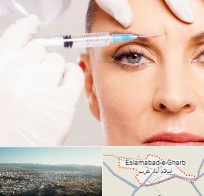 مزوژل در اسلام آباد غرب