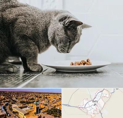 خرید غذای گربه در بافق