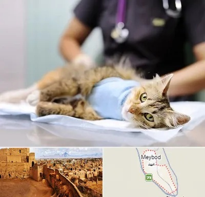 جراح حیوانات در میبد