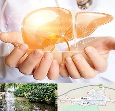 دکتر سرطان کبد در هرسین